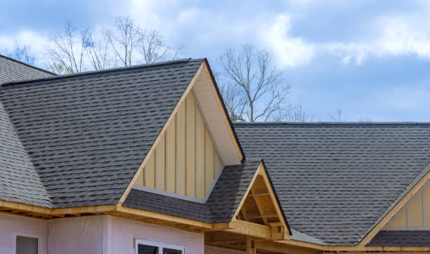 Best Solar Panel Roofing Installation  in Lakemoor, IL