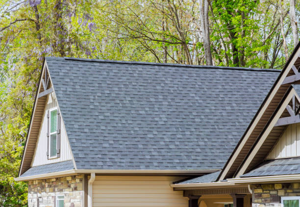 Best Roof Coating and Sealing  in Lakemoor, IL