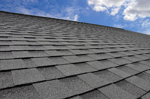 Best Roof Maintenance and Cleaning  in Lakemoor, IL